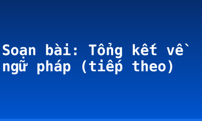 Soạn bài: Tổng kết về ngữ pháp (tiếp theo)