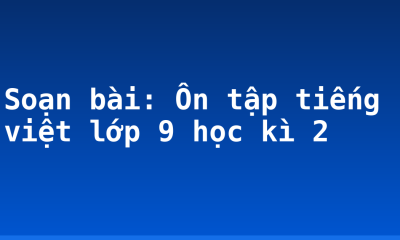 Soạn bài: Ôn tập tiếng việt lớp 9 học kì 2