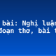 Soạn bài: Nghị luận về một đoạn thơ, bài thơ