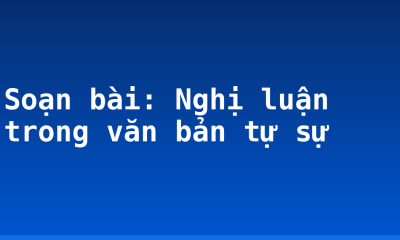 Soạn bài: Nghị luận trong văn bản tự sự
