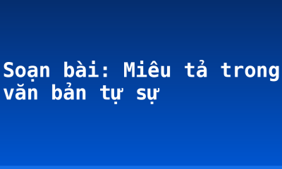 Soạn bài: Miêu tả trong văn bản tự sự