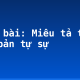 Soạn bài: Miêu tả trong văn bản tự sự