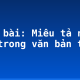 Soạn bài: Miêu tả nội tâm trong văn bản tự sự