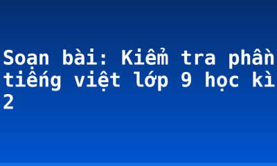 Soạn bài: Kiểm tra phần tiếng việt lớp 9 học kì 2
