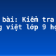 Soạn bài: Kiểm tra phần tiếng việt lớp 9 học kì 2