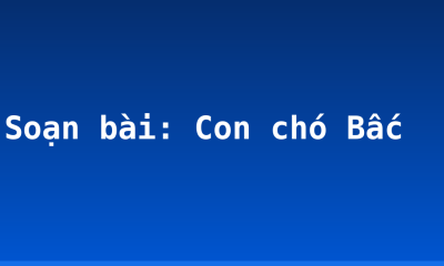 Soạn bài: Con chó Bấc
