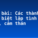 Soạn bài: Các thành phần biệt lập tình thái, cảm thán