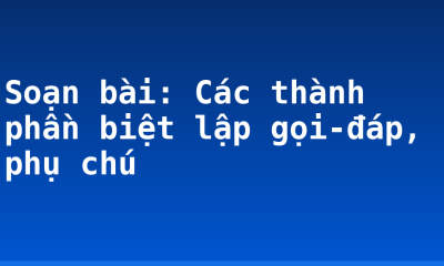 Soạn bài: Các thành phần biệt lập gọi-đáp, phụ chú
