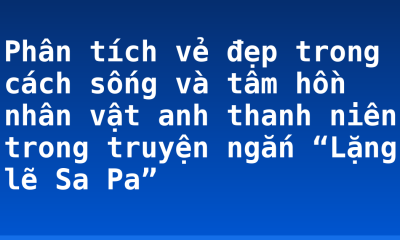 Phân tích vẻ đẹp trong cách sống và tâm hồn nhân vật anh thanh niên trong truyện ngắn “Lặng lẽ Sa Pa”