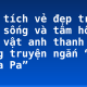 Phân tích vẻ đẹp trong cách sống và tâm hồn nhân vật anh thanh niên trong truyện ngắn “Lặng lẽ Sa Pa”