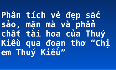 Phân tích vẻ đẹp sắc sảo, mặn mà và phẩm chất tài hoa của Thuý Kiều qua đoạn thơ “Chị em Thuý Kiều”
