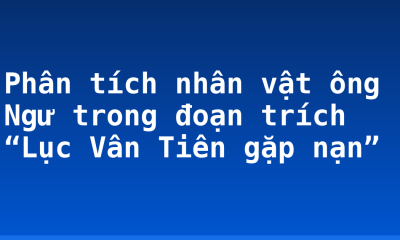 Phân tích nhân vật ông Ngư trong đoạn trích “Lục Vân Tiên gặp nạn”