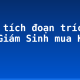 Phân tích đoạn trích “Mã Giám Sinh mua Kiều” (1)