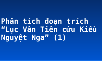 Phân tích đoạn trích “Lục Vân Tiên cứu Kiều Nguyệt Nga” (1)