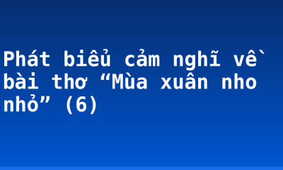 Phát biểu cảm nghĩ về bài thơ “Mùa xuân nho nhỏ” (6)