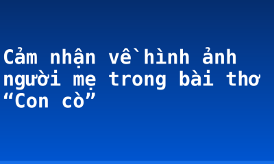 Cảm nhận về hình ảnh người mẹ trong bài thơ “Con cò”