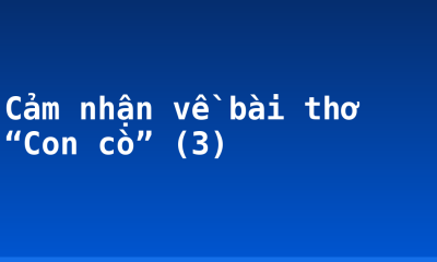 Cảm nhận về bài thơ “Con cò” (3)