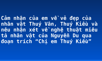 Cảm nhận của em về vẻ đẹp của nhân vật Thuý Vân, Thuý Kiều và nêu nhận xét về nghệ thuật miêu tả nhân vật của Nguyễn Du qua đoạn trích “Chị em Thuý Kiều”