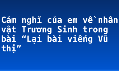 Cảm nghĩ của em về nhân vật Trương Sinh trong bài “Lại bài viếng Vũ thị”