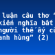 Bình luận câu thơ “Nhớ câu kiến nghĩa bất vi, Làm người thế ấy cũng phi anh hùng” (2)