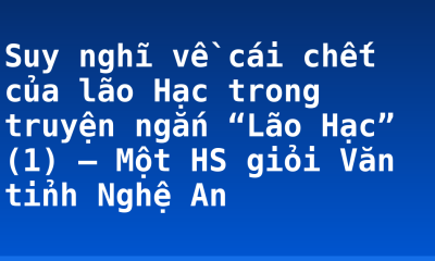 Suy nghĩ về cái chết của lão Hạc trong truyện ngắn “Lão Hạc” (1) – Một HS giỏi Văn tỉnh Nghệ An