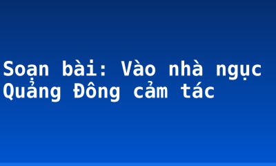 Soạn bài: Vào nhà ngục Quảng Đông cảm tác