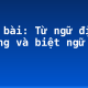 Soạn bài: Từ ngữ địa phương và biệt ngữ xã hội