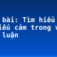 Soạn bài: Tìm hiểu yếu tố biểu cảm trong văn nghị luận