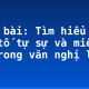 Soạn bài: Tìm hiểu các yếu tố tự sự và miêu tả trong văn nghị luận