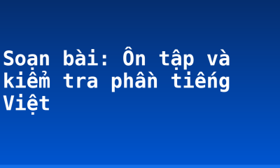 Soạn bài: Ôn tập và kiểm tra phần tiếng Việt