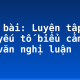 Soạn bài: Luyện tập: đưa yếu tố biểu cảm vào bài văn nghị luận