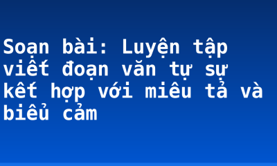 Soạn bài: Luyện tập viết đoạn văn tự sự kết hợp với miêu tả và biểu cảm
