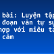 Soạn bài: Luyện tập viết đoạn văn tự sự kết hợp với miêu tả và biểu cảm