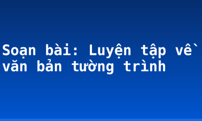 Soạn bài: Luyện tập về văn bản tường trình
