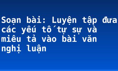 Soạn bài: Luyện tập đưa các yếu tố tự sự và miêu tả vào bài văn nghị luận