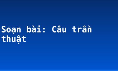 Soạn bài: Câu trần thuật