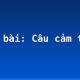 Soạn bài: Câu cảm thán