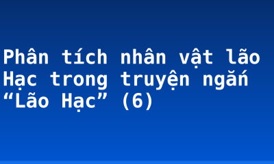 Phân tích nhân vật lão Hạc trong truyện ngắn “Lão Hạc” (6)