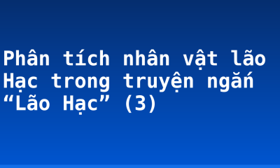 Phân tích nhân vật lão Hạc trong truyện ngắn “Lão Hạc” (3)