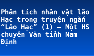 Phân tích nhân vật lão Hạc trong truyện ngắn “Lão Hạc” (1) – Một HS chuyên Văn tỉnh Nam Định