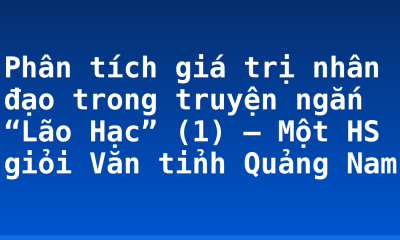 Phân tích giá trị nhân đạo trong truyện ngắn “Lão Hạc” (1) – Một HS giỏi Văn tỉnh Quảng Nam