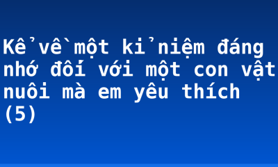 Kể về một kỉ niệm đáng nhớ đối với một con vật nuôi mà em yêu thích (5)