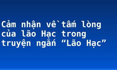Cảm nhận về tấm lòng của lão Hạc trong truyện ngắn “Lão Hạc”
