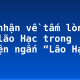 Cảm nhận về tấm lòng của lão Hạc trong truyện ngắn “Lão Hạc”