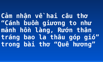 Cảm nhận về hai câu thơ “Cánh buồm giương to như mảnh hồn làng, Rướn thân tráng bao la thâu góp gió” trong bài thơ “Quê hương”