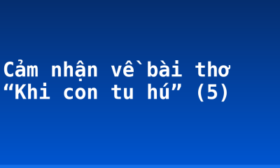 Cảm nhận về bài thơ “Khi con tu hú” (5)