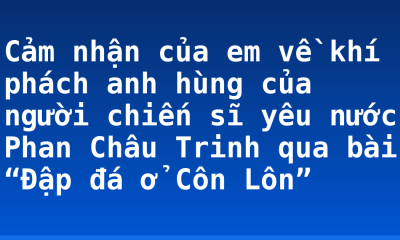 Cảm nhận của em về khí phách anh hùng của người chiến sĩ yêu nước Phan Châu Trinh qua bài “Đập đá ở Côn Lôn”