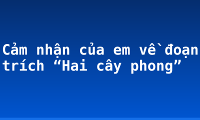 Cảm nhận của em về đoạn trích “Hai cây phong”
