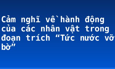 Cảm nghĩ về hành động của các nhân vật trong đoạn trích “Tức nước vỡ bờ”