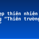 Vẻ đẹp thiên nhiên trong “Thiên trường vãn vọng”